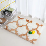 Soft Shaggy Carpet for Living Room Home Decor 19.6x31.5in