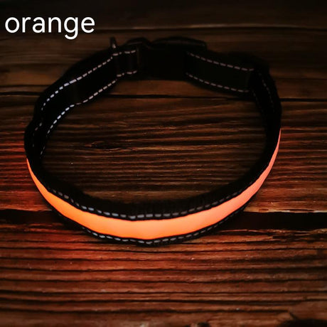 Reflective LED Dog Collar with Leather and Ribbon Design
