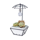 Modern Creative Umbrella Light Bulb Planter Set