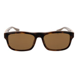 Web Brown Acetate Sunglasses