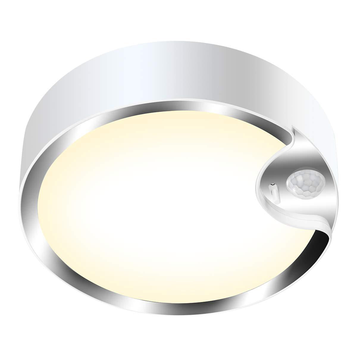 80LED Induction Ceiling Light for Home and Bedroom