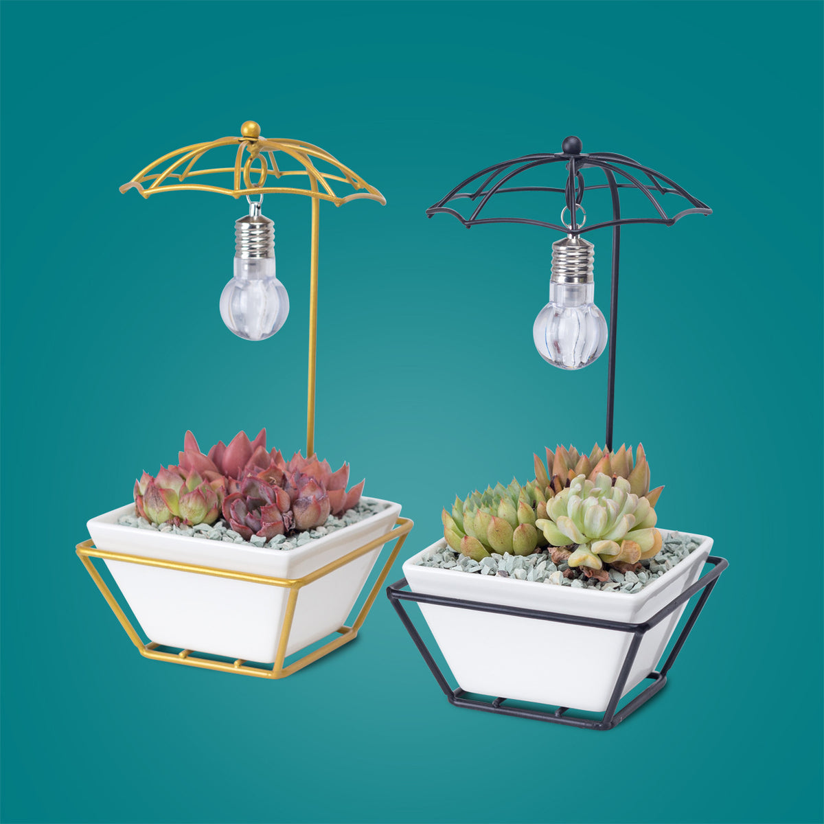 Modern Creative Umbrella Light Bulb Planter Set