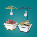 Modern Creative Umbrella Light Bulb Planter Set