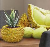 Creative Succulent Planter and Craft Ornament