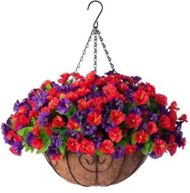 Violet Hanging Garden Basket