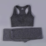 2/3PCS Seamless Women Workout Sportswear - Atlantic Shopping Mall