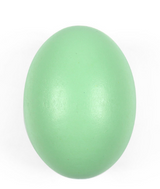 DIY Wooden Craft Blank for Painting Festival Eggs