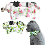 Colorful Pet Collar