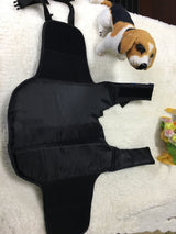 Outdoor Dog Training Suit - Stylish Pet Life Jacket