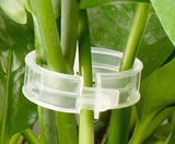 Plant Support Clips for Vines – 100 Piece Set