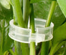 Plant Support Clips for Vines – 100 Piece Set