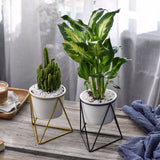 Nordic Triangle Ceramic Planter with Iron Stand Set