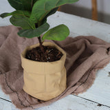 Cement Fabric Bag Planter in Modern Nordic Style