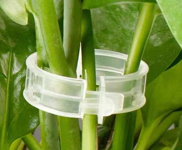 Plant Support Clips for Vines – 100 Piece Set