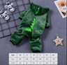 Cozy Dinosaur Pet Apparel