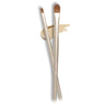 Flat Concealer Brush Under Eye & Lip Brush Set by ENZO KEN Small Concealer Brush Lipstick Brush Small Makeup Brush Small Flat Makeup Brush Under Eye Concealer Brush Mini Concealer Brush. E201MS