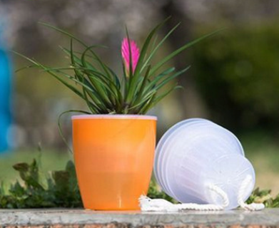 Self-Watering Planter for Green Plants and Succulents