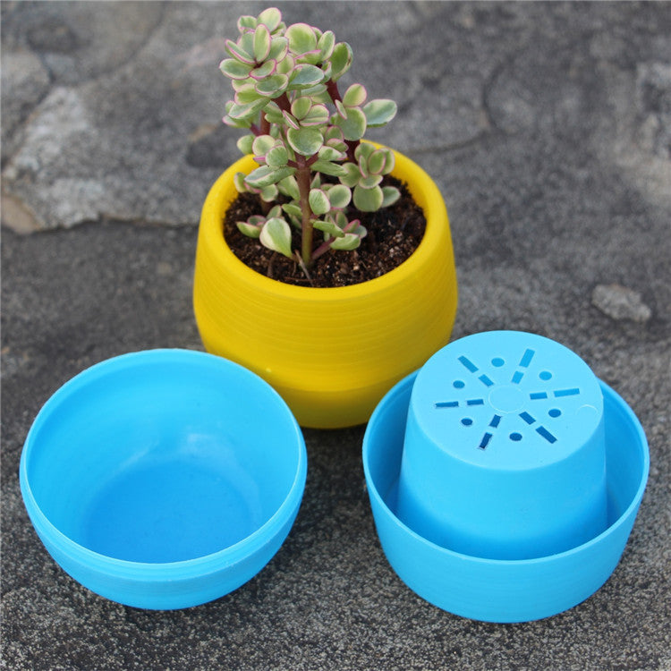 Mini Colorful PP Succulent Planter - Simple Design