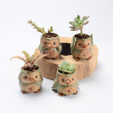 European Ceramic Animal Planter for Succulents - Penguin