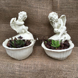 Resin Angel Planter for Succulents and Mini Gardens