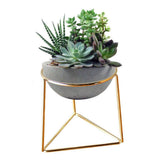 Geometric Ceramic Planter with Metal Stand for Home Decor