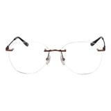 BMW Bronze Titanium Glasses (Frames)