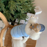 Traction Pet Cotton Wear
