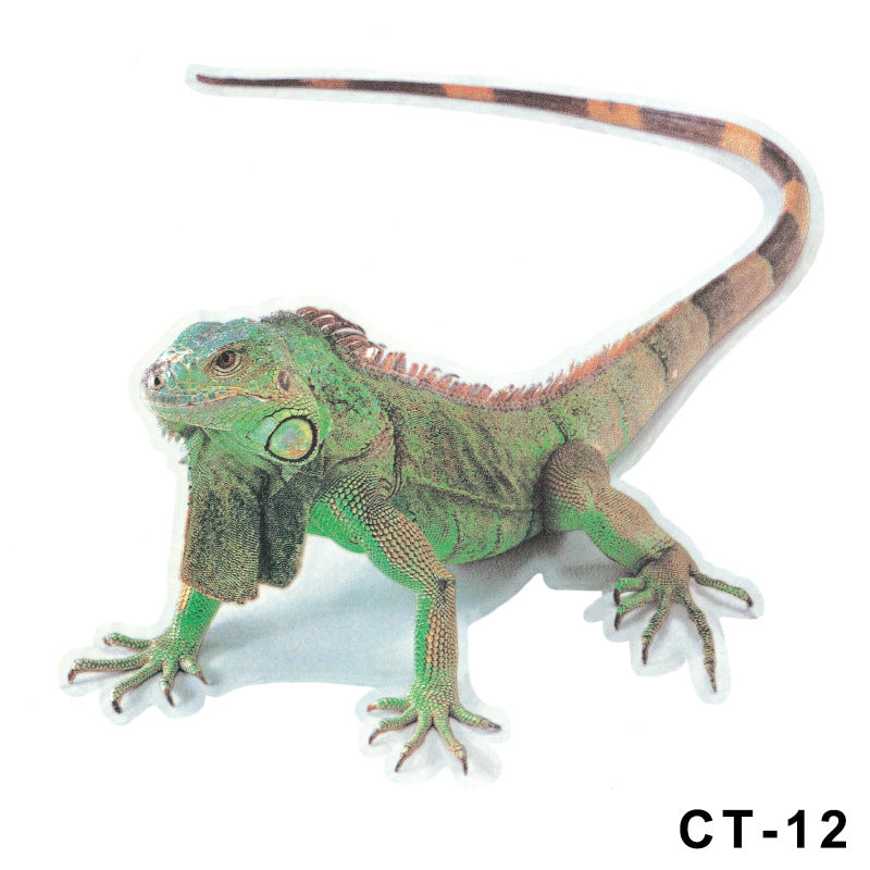 3D Spider Gecko Car Sticker for Realistic Customization