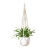 Handwoven Cotton Rope Hanging Planter Basket
