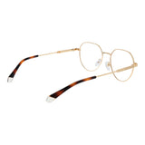 Polaroid Gold Metal Glasses (Frames)