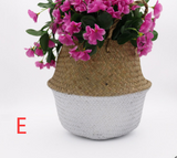 Handcrafted Woven Seagrass Basket and Planter