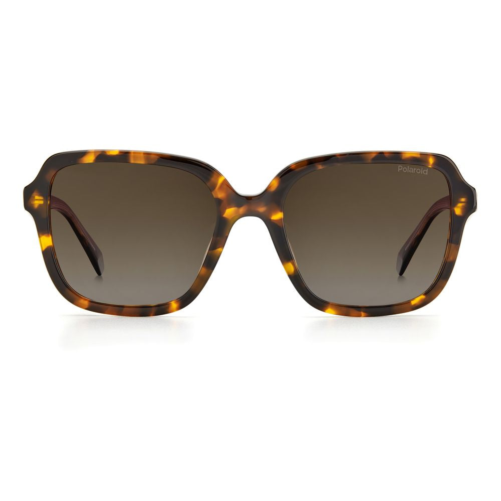Polaroid Brown Acetate Sunglasses