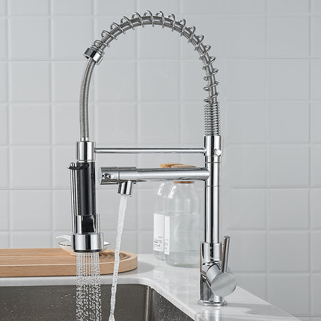 Brushed Nickel Dual-Function Kitchen Faucet