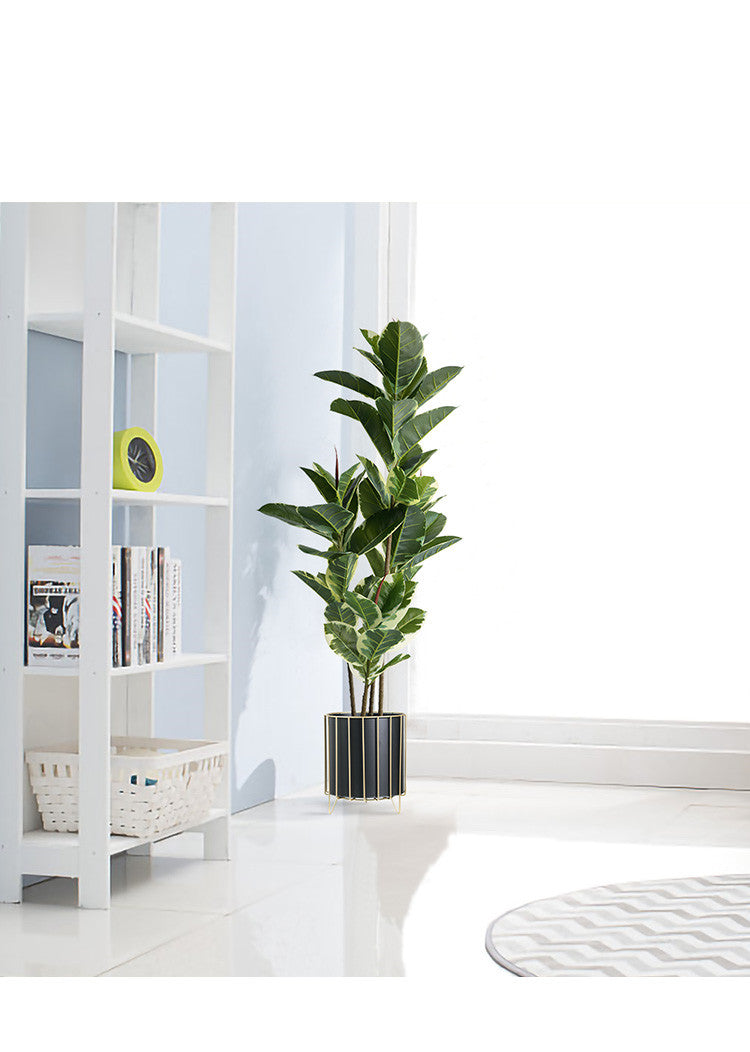 Nordic Style Iron Planter with Gold Trim (Large)