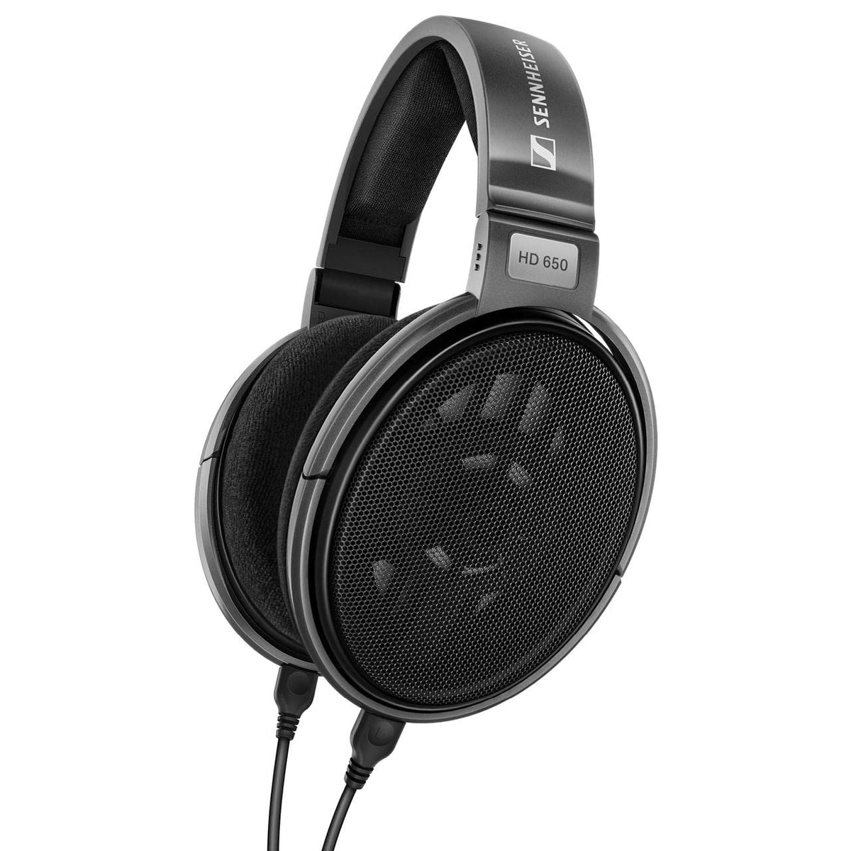HD650 Professional Headphones (Renewed)