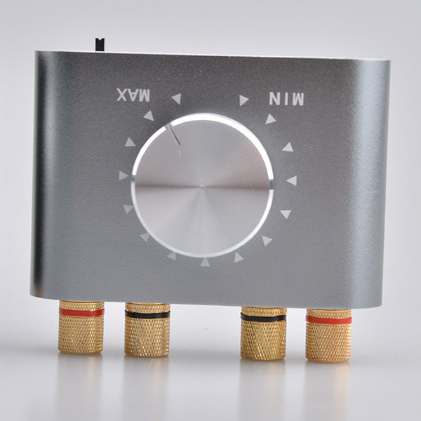 100W Bluetooth Amplifier for Home and Car Use