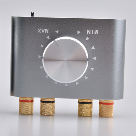 100W Bluetooth Amplifier for Home and Car Use