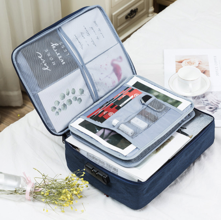 Travel Organizer Bag and Storage Box