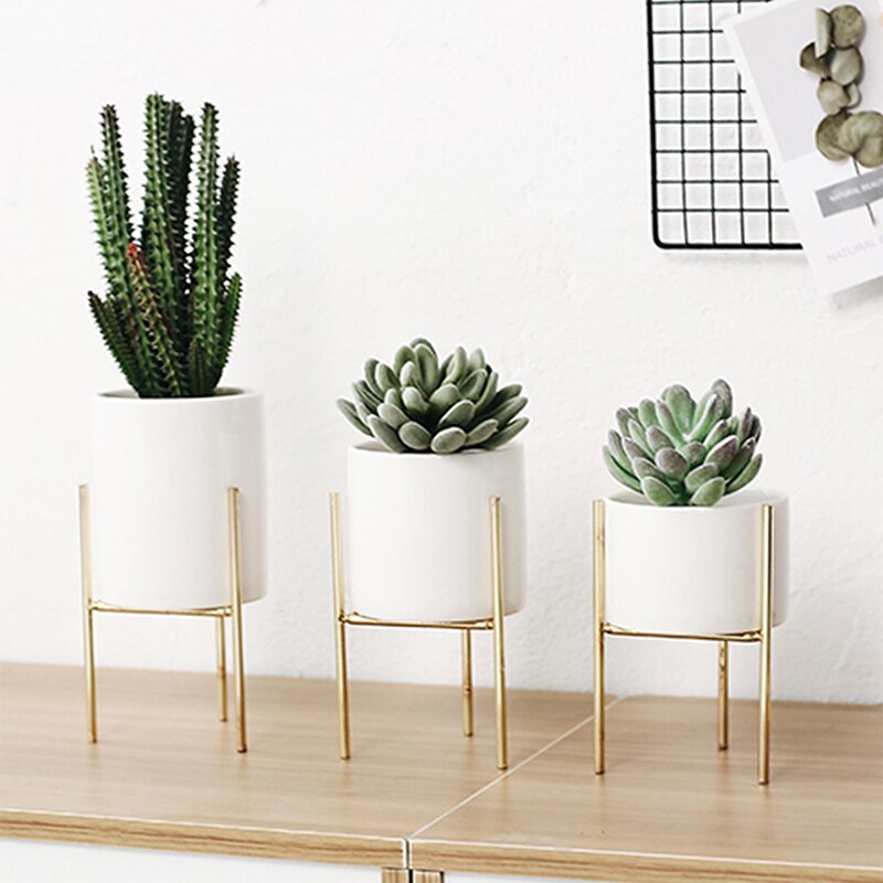 Ceramic Planter for Succulents and Plants