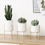 Ceramic Planter for Succulents and Plants