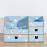 Storage Box and Shelf Furniture