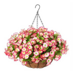 Violet Hanging Garden Basket
