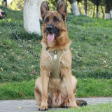 Pet Chest Vest  Strap
