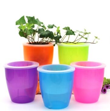 Self-Watering Planter for Green Plants and Succulents