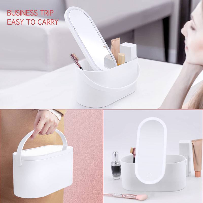 Portable Makeup Organizer with LED Light & Mirror