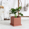 Red Cement Planter with Tray for Indoor Succulents