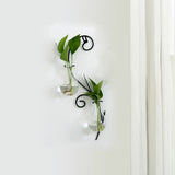 Iron Art Wall Planter with Transparent Glass Vase