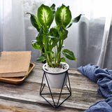 Nordic Triangle Ceramic Planter with Iron Stand Set