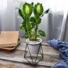 Nordic Triangle Ceramic Planter with Iron Stand Set