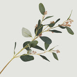 28in Artificial Eucalyptus Stem for Home Decor